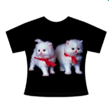 ASHLEY WILLIAMS BABY T KITTEN