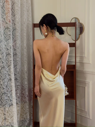 BEVZA - Abla Dress in Champagne