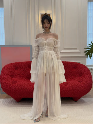 BLUMARINE - Long Silk Chiffon Dress With Buttons