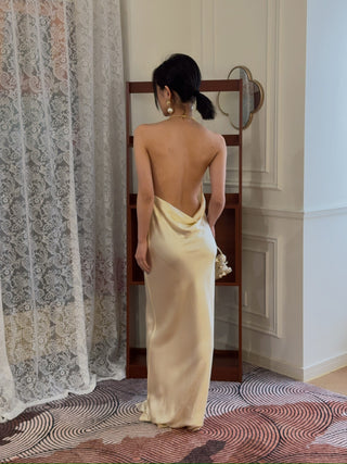 BEVZA - Abla Dress in Champagne