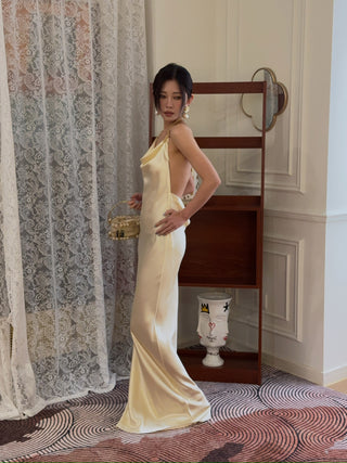 BEVZA - Abla Dress in Champagne