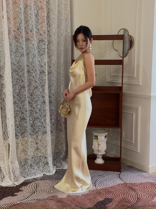 BEVZA - Abla Dress in Champagne