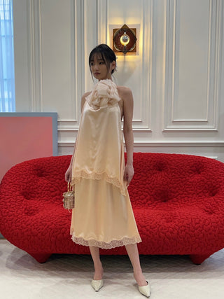 MAGDA BUTRYM - Silk Lace-trim Slip Skirt in Peach